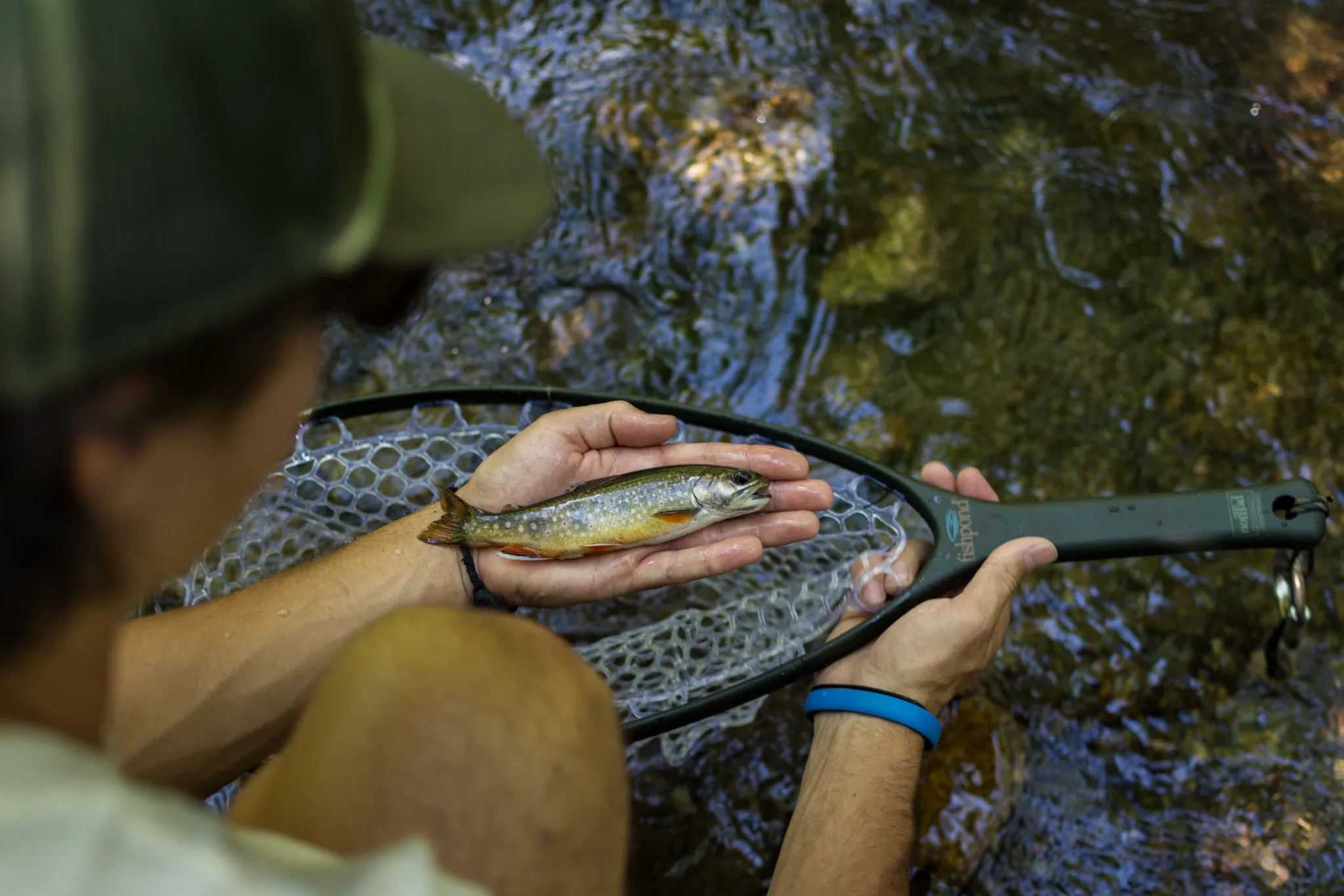 Fishpond Nomad Native Net