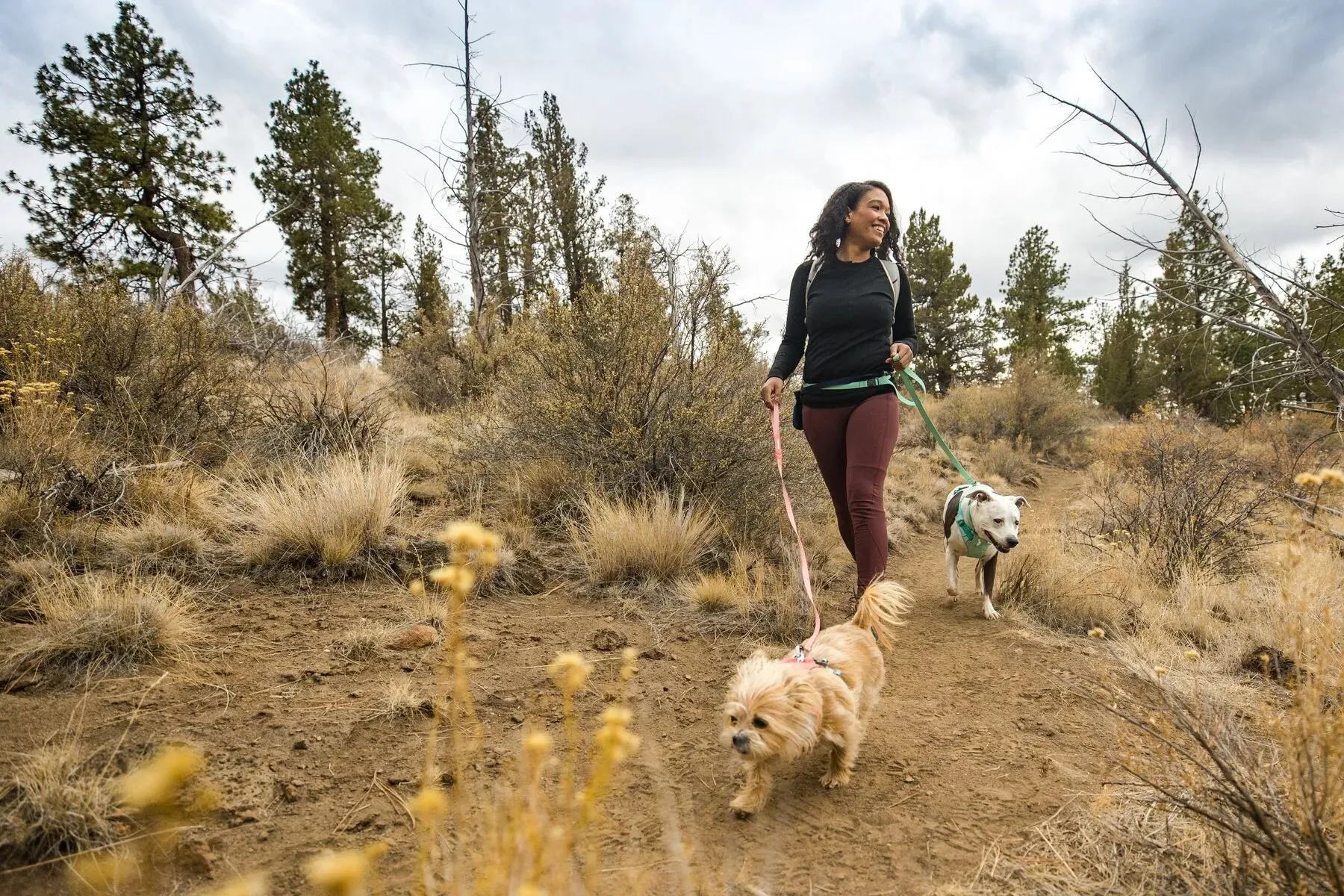 Ruffwear Flagline™ Lightweight Dog Leash (Alpenglow Pink)