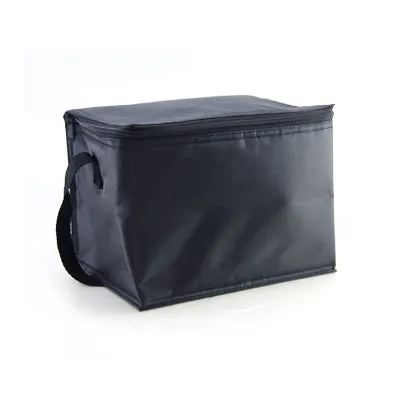 Trendy Insulated Cooler Bag