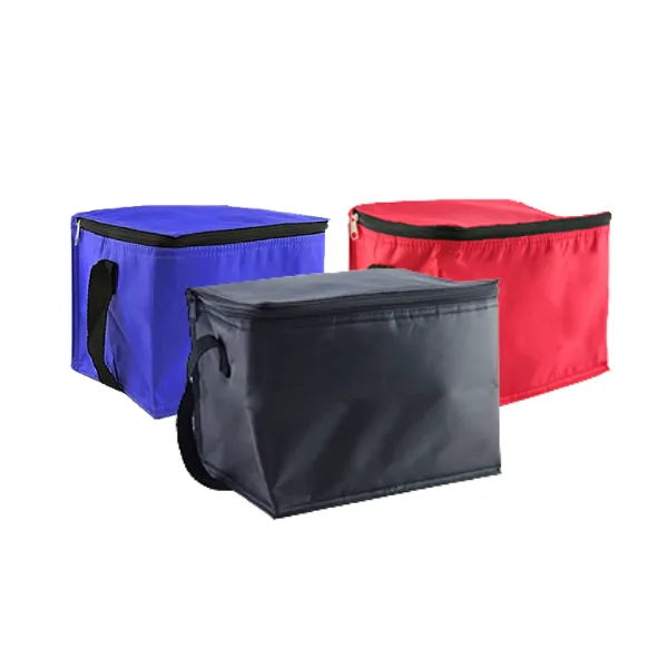 Trendy Insulated Cooler Bag