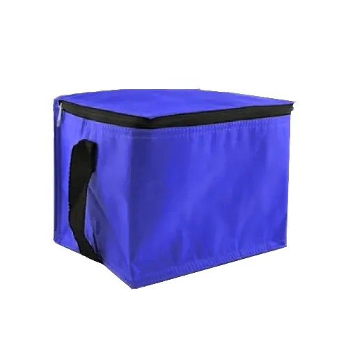 Trendy Insulated Cooler Bag